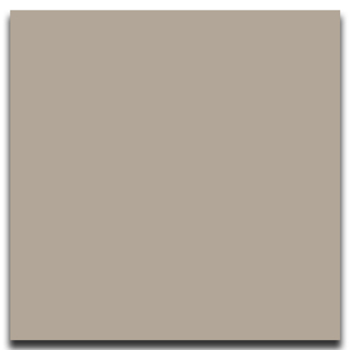 Picture of Johnsonite - Solid Colors Smooth 12 x 12 Harvest Time