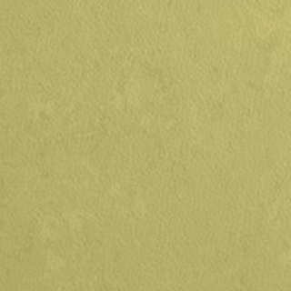 Picture of Johnsonite - Mesto Configurations 12 x 24 Enchanted Forest