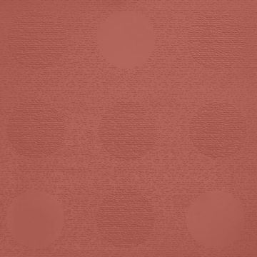 Picture of Johnsonite - Circulinity Tic-Tac-Toe Spicy Chip