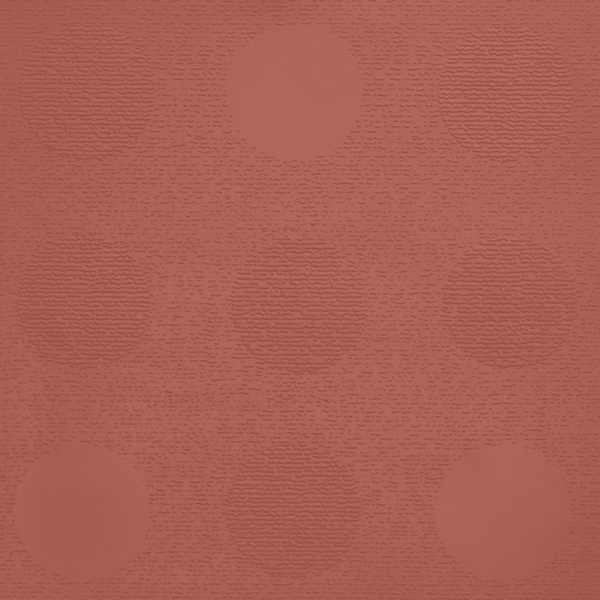 Picture of Johnsonite - Circulinity Tic-Tac-Toe Spicy Chip
