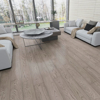 Picture of Tropical Flooring - Elysian Mod Titanium