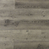 Picture of Tropical Flooring - Romulus Burnished Fossil