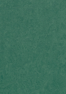 Picture of Forbo - Marmoleum Cinch Loc Seal 12 x 12 Hunter Green