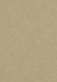 Picture of Forbo - Marmoleum Cinch Loc Seal 12 x 12 Oat