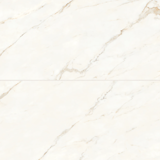 Picture of Bedrosians - Magnifica Calacatta Oro 24 x 48 Calacatta Oro/Polished