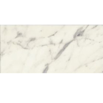 Picture of Bedrosians - Marble Stone 18 x 36 Calacatta Oro Honed