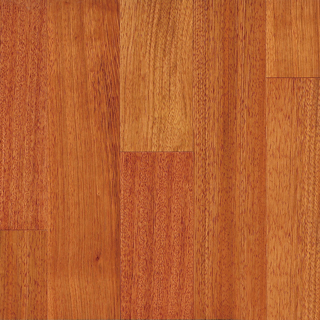 Picture of Ark Floors - Brasilia Brazilian Cherry (Jatoba)-Natural