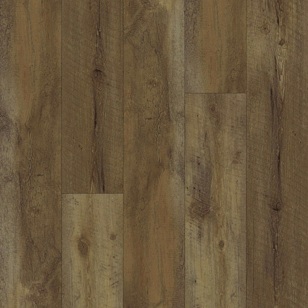 Picture of Happy Feet Intl. - All Star European Oak