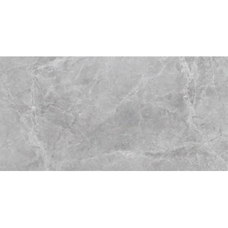 Picture of SantAgostino - Themar 12 x 24 Matte Grigio Savoia
