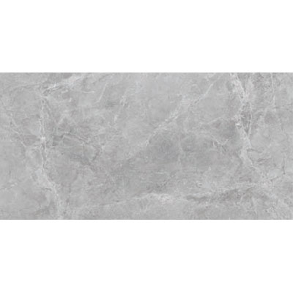 Picture of SantAgostino - Themar 12 x 24 Matte Grigio Savoia
