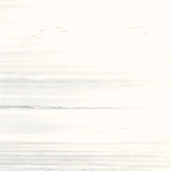 Picture of SantAgostino - Themar 24 x 24 Matte Bianco Lasa