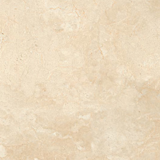 Picture of SantAgostino - Themar 24 x 24 Matte Crema Marfil