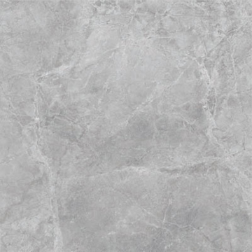 Picture of SantAgostino - Themar 24 x 24 Matte Grigio Savoia