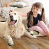 Picture of Global Gem Flooring - Speakeasy Bootlegger