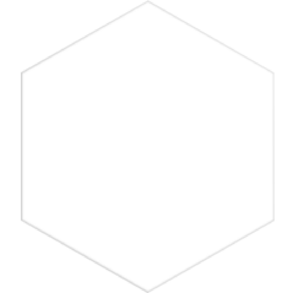 Picture of Tesoro - Basic Hexagon White