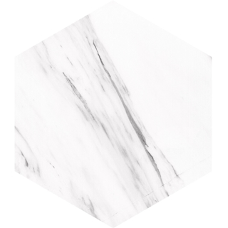 Picture of Tesoro - Carrara Hexagon Carrara