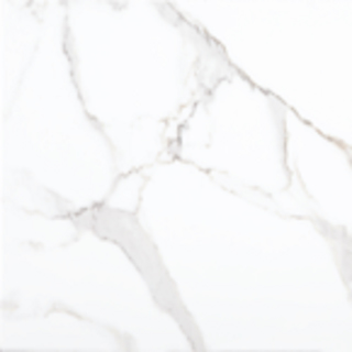 Picture of Tesoro - Carrara Ultra White 20 X 20 Carrara