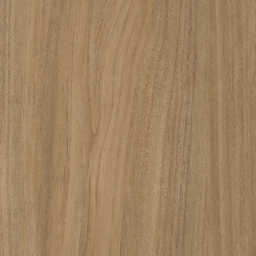 Picture of Patcraft - Treeline Acoustic Honey V2
