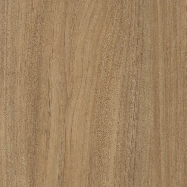 Picture of Patcraft - Treeline Acoustic Honey V2