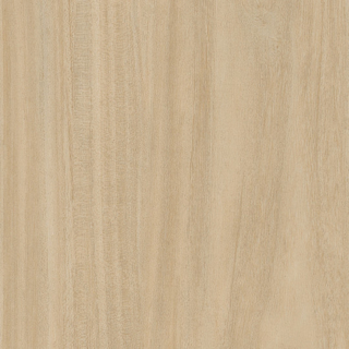 Picture of Patcraft - Treeline Acoustic Cream V2