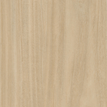 Picture of Patcraft - Treeline Acoustic Cream V2