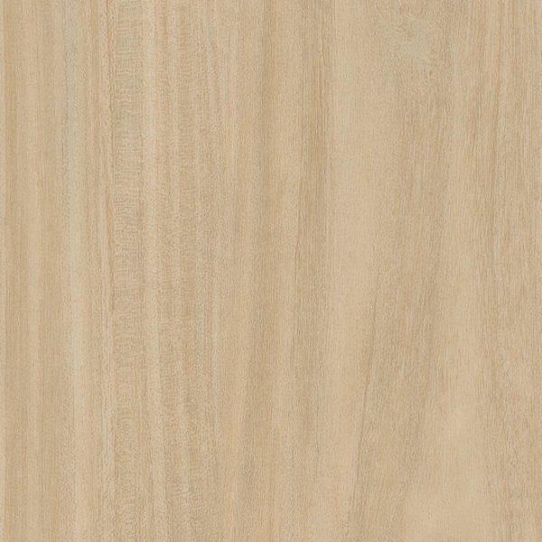 Picture of Patcraft - Treeline Acoustic Cream V2