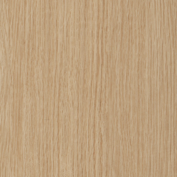 Picture of Patcraft - Treeline Acoustic Bare V2