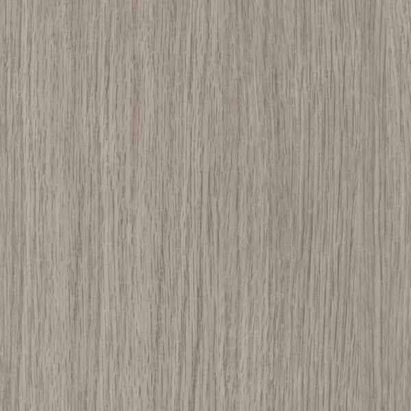 Picture of Patcraft - Treeline Acoustic Moonlight V2