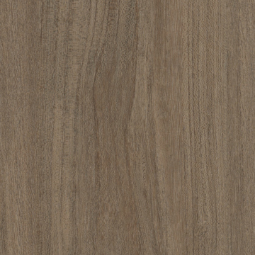 Picture of Patcraft - Treeline Acoustic Rune V2