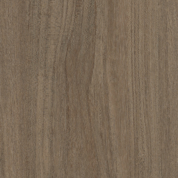 Picture of Patcraft - Treeline Acoustic Rune V2