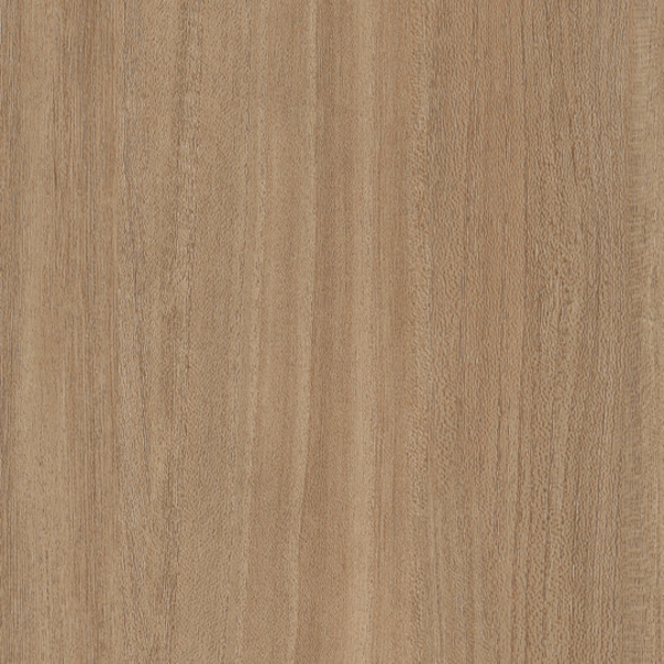 Picture of Patcraft - Treeline Acoustic Camel V2