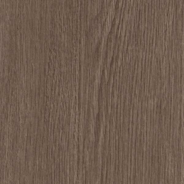 Picture of Patcraft - Treeline Acoustic Clove V2