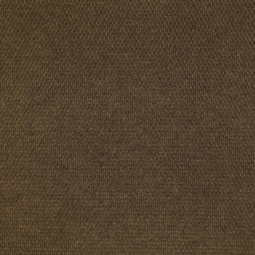Picture of Patcraft - Walk Right In II Tobacco