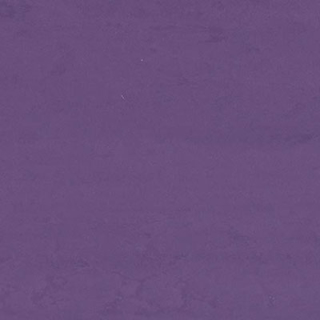 Picture of Altro - Dolce Essentials Basilica