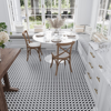 Picture of MiR Mosaic - Tuxedo Park Nero Bianco Plaza