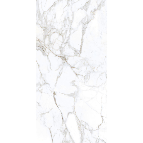 Picture of Tesoro - Lucca 12 x 24 Calacatta Matte