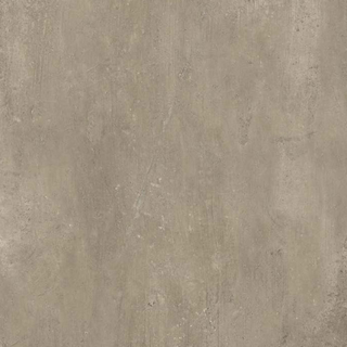 Picture of Milestone - Plus One 24 x 24 Matte Mud