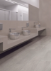 Picture of Milestone - Basaltine 24 x 48 8mm Light Grey
