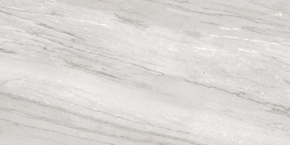 Picture of Milestone - Epic 12 x 24 Polished Alaska Grey