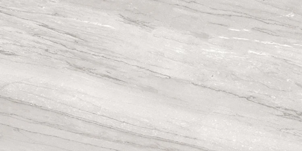 Picture of Milestone - Epic 12 x 24 Polished Alaska Grey