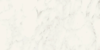 Picture of Milestone - Jem 12 x 24 Matte Adagio White