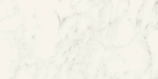 Picture of Milestone - Jem 12 x 24 Matte Adagio White