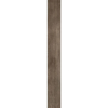 Picture of Patcraft - Timber Grove II 12MIL Aster