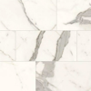 Picture of Milestone - Jem 24 x 48 Polished Capriccio Grey