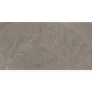 Picture of Milestone - Luxury 24 x 48 Polished 8mm Amani Grey