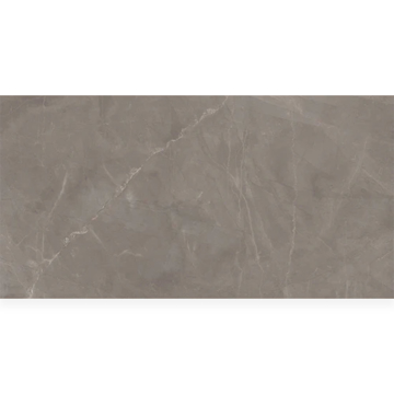 Picture of Milestone - Luxury 24 x 48 Polished 8mm Amani Grey