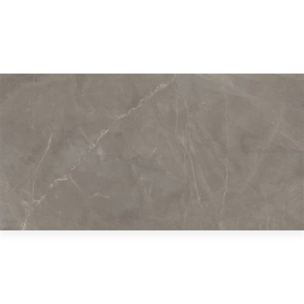 Picture of Milestone - Luxury 24 x 48 Polished 8mm Amani Grey