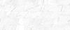 Picture of Milestone - Marbles 8 x 24 Carrara White