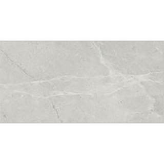 Picture of Tesoro - Torino 12 x 24 Grigio