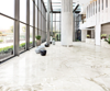 Picture of Milestone - Onyx 24 x 24 Polished White